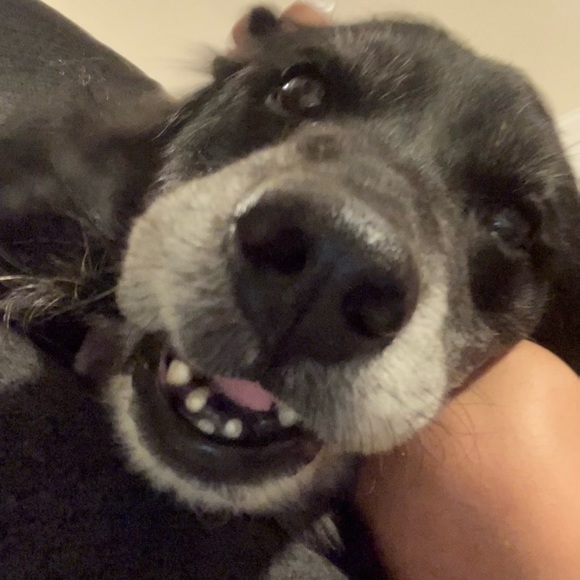 Meet your Posher, Meg💚 - Picture 5 of 11